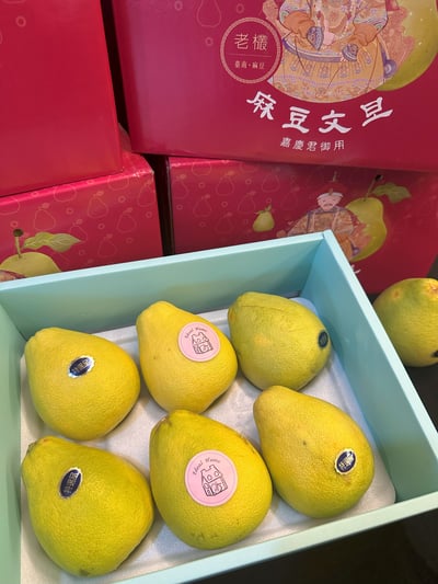 麻豆老欉文旦6
