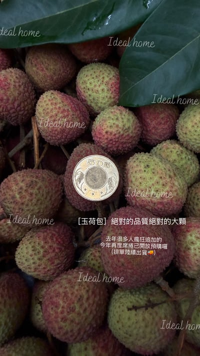 頂級玉荷包荔枝禮盒21