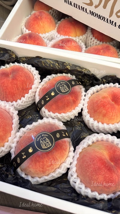 日本水蜜桃8