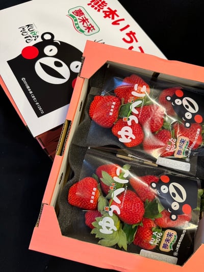 日本草莓◆佐賀/長崎/靜岡/熊本◆8