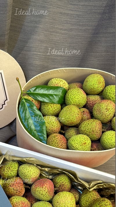 頂級玉荷包荔枝禮盒1