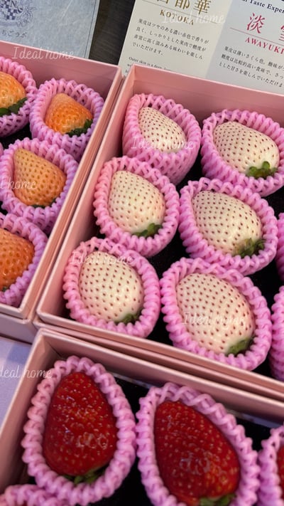 日本天皇草莓(三種混搭)23