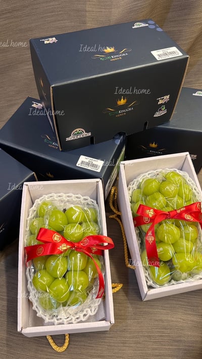 韓國麝香葡萄17