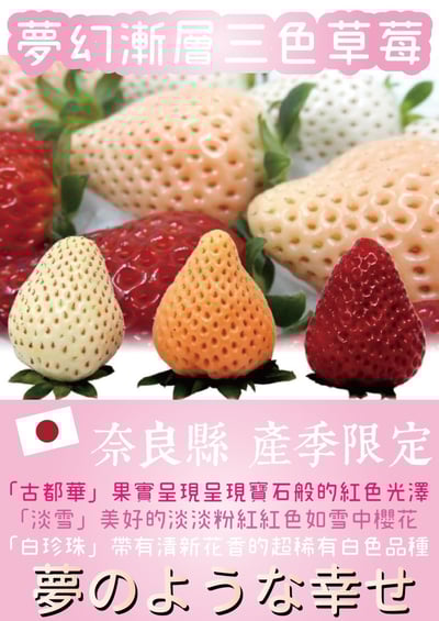 日本雙色草莓15