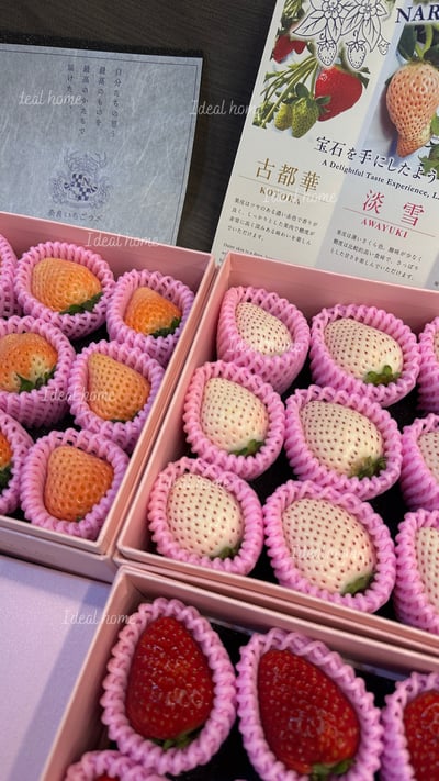 日本天皇草莓(三種混搭)19