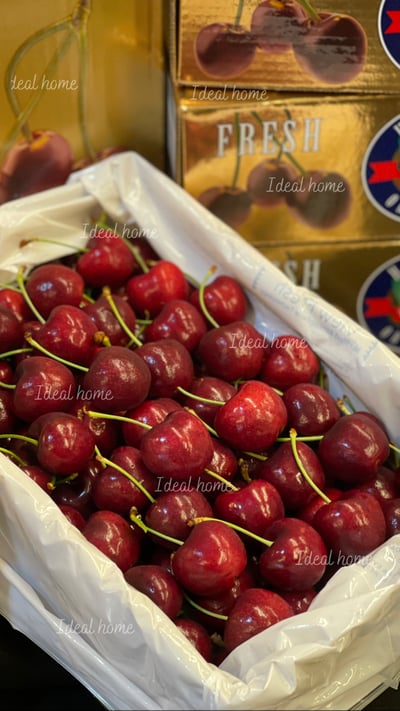 澳洲櫻桃6