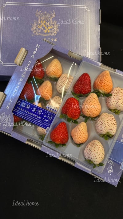 日本三色草莓(三種混搭)4