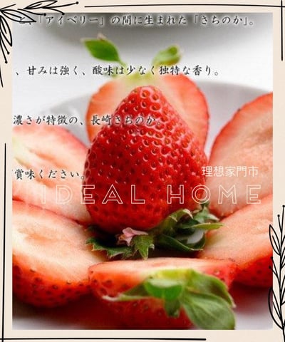 日本草莓◆佐賀/長崎/靜岡/熊本◆9