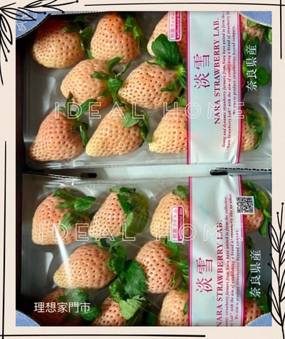 日本淡雪草莓「預購商品排單出貨」4
