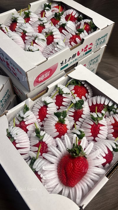 日本德島〔勝占/眉山〕糖蜜草莓1