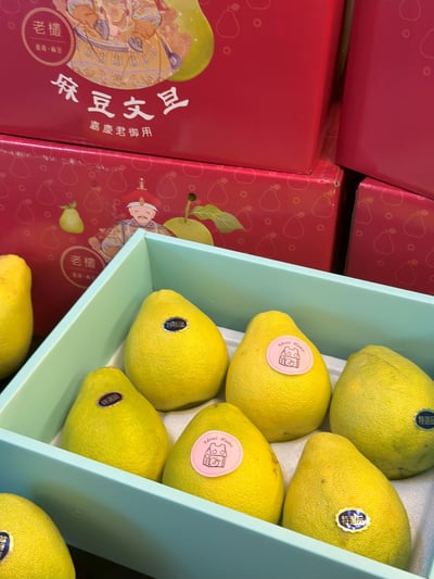 麻豆老欉文旦8