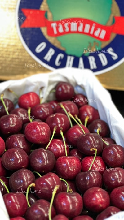 澳洲櫻桃2