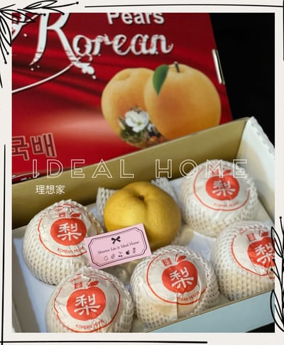 韓國進口水梨2