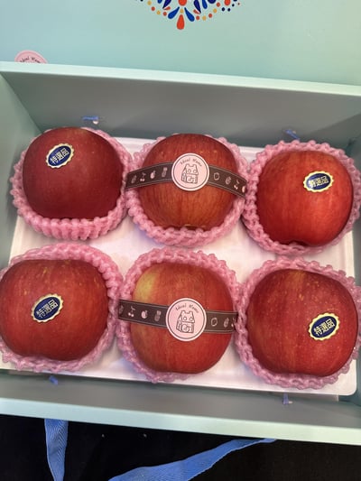 精巧系列- 華盛頓富士4