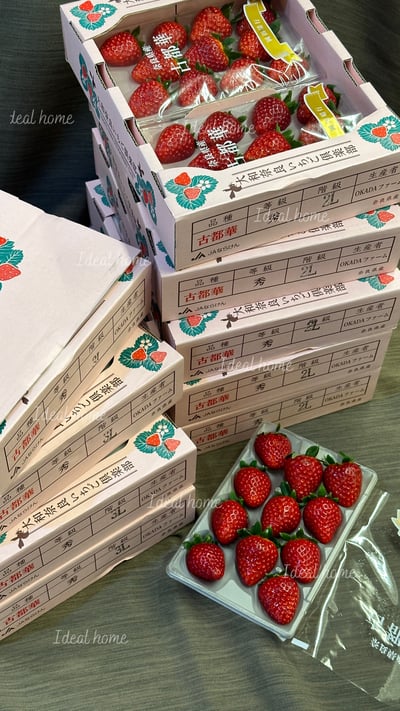 日本古都華草莓8