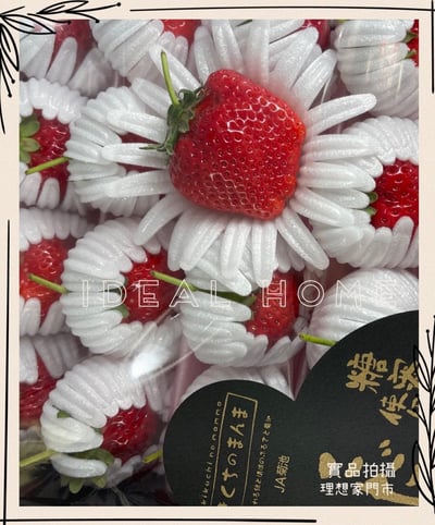 日本糖蜜菊池黑盒「預購排單出貨」4