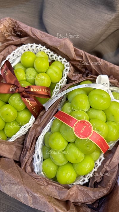 韓國麝香葡萄14