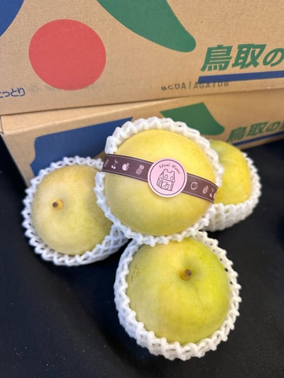 日本進口二十世紀梨【鳥取梨】3
