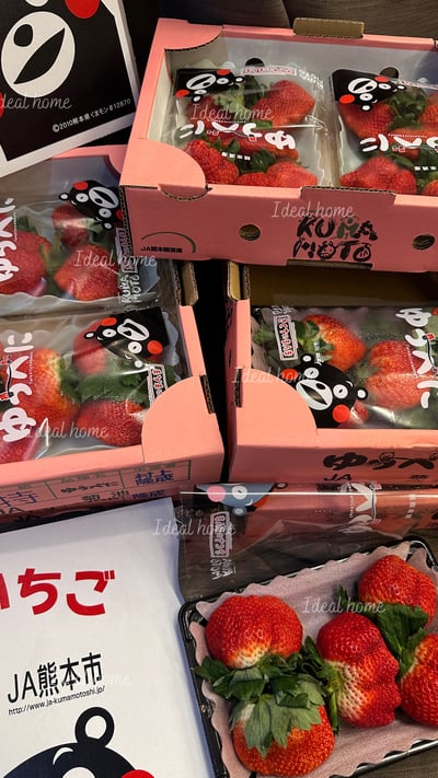 日本草莓◆佐賀/長崎/靜岡/熊本◆10