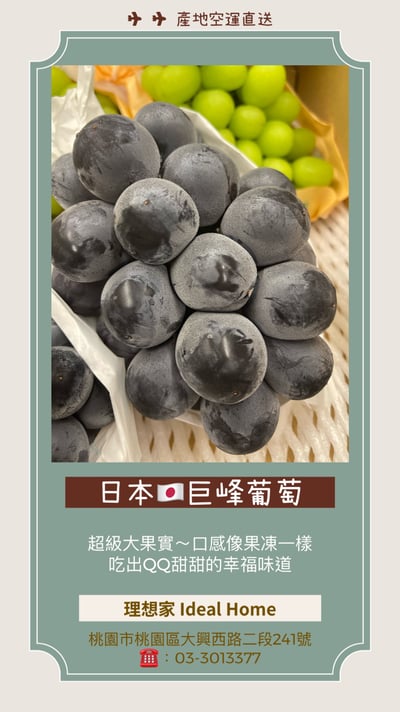 日本岡山巨峰葡萄(貓眼)4