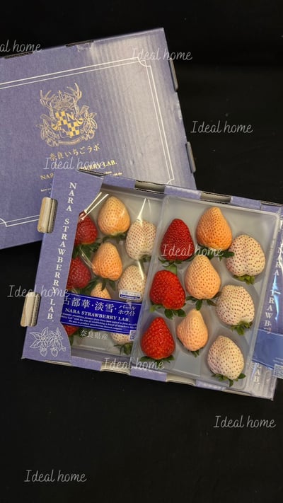 日本三色草莓(三種混搭)3