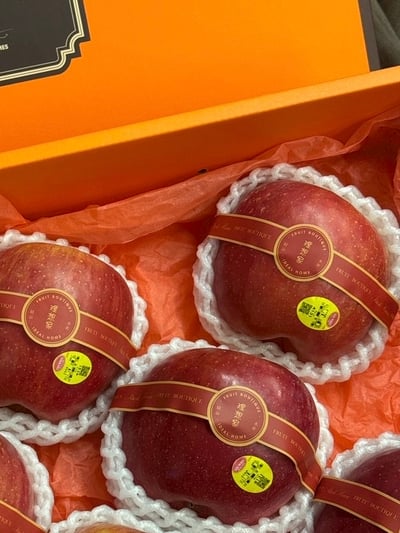 精巧系列- 華盛頓富士1