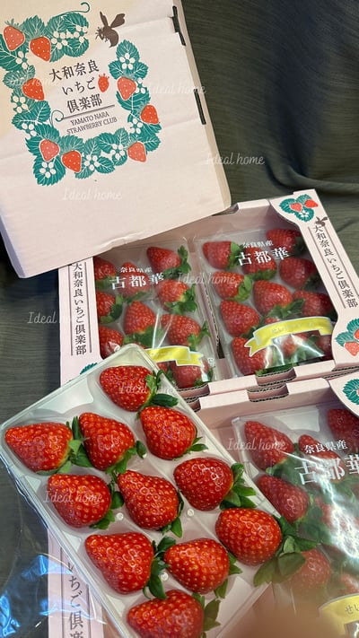 日本古都華草莓3