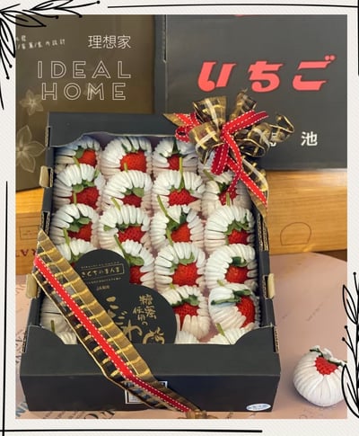 日本糖蜜菊池黑盒「預購排單出貨」6