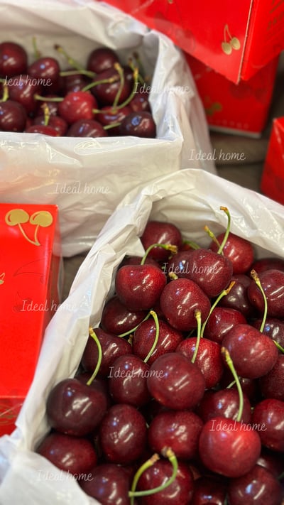 紐西蘭櫻桃7