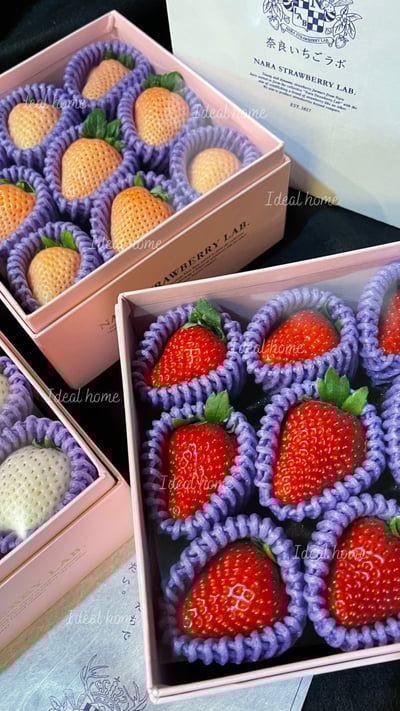 日本天皇草莓(三種混搭)5