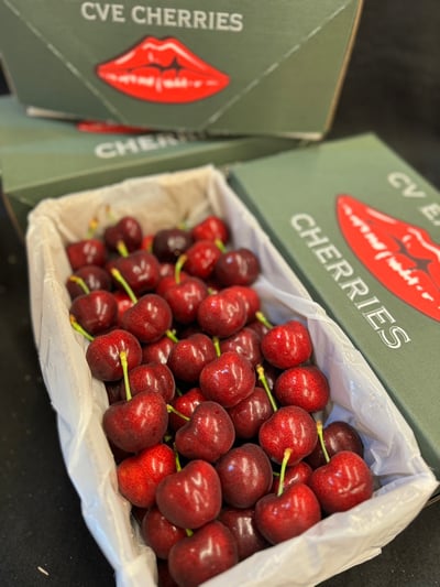 紐西蘭大嘴巴櫻桃9