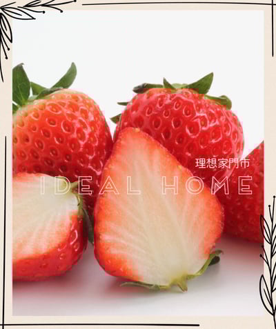 日本草莓◆佐賀/長崎/靜岡/熊本◆7