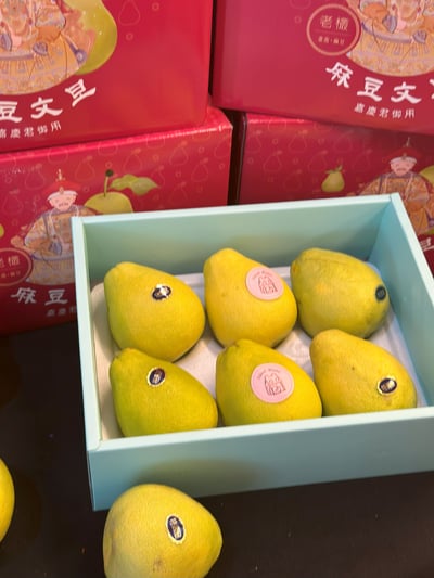 麻豆老欉文旦9