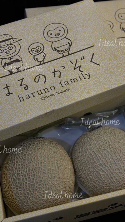 日本溫室哈密瓜15