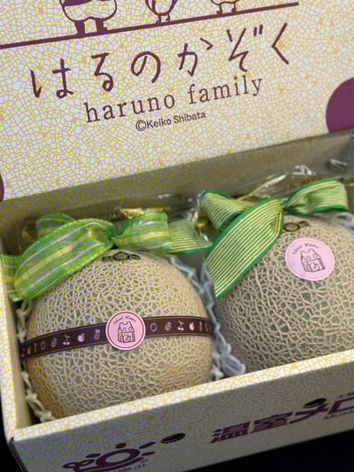 日本溫室哈密瓜3