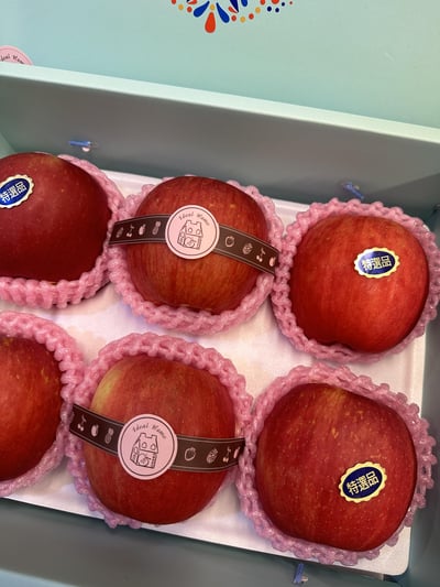 精巧系列- 華盛頓富士3