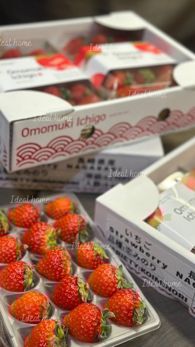 日本草莓◆佐賀/長崎/靜岡/熊本◆17