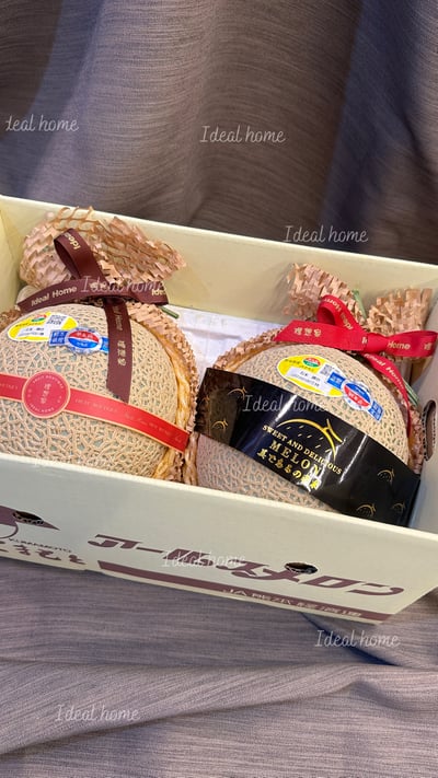 日本溫室哈密瓜17