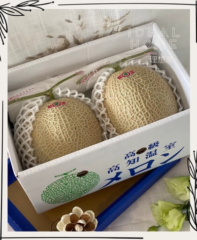 日本溫室哈密瓜18