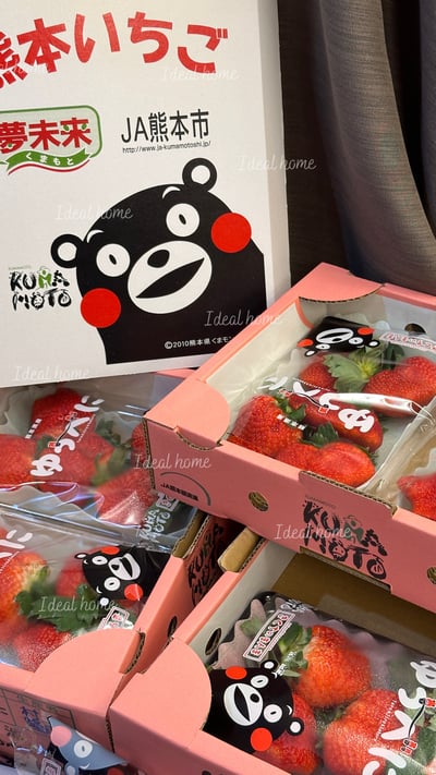日本草莓◆佐賀/長崎/靜岡/熊本◆12