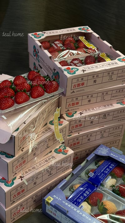 日本古都華草莓9