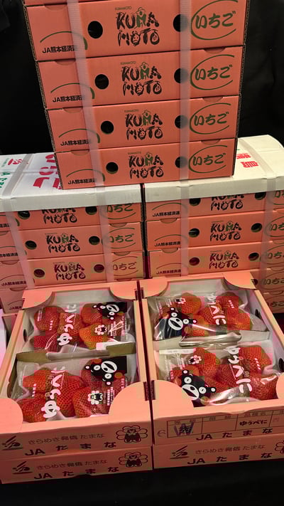 日本草莓◆佐賀/長崎/靜岡/熊本◆22