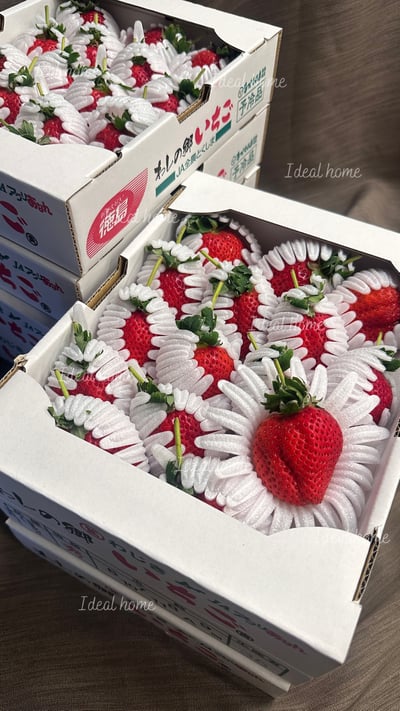 日本德島〔勝占/眉山〕糖蜜草莓2