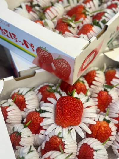 日本德島〔勝占/眉山〕糖蜜草莓6