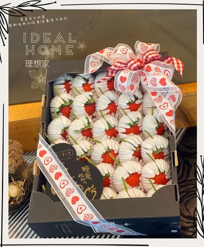 日本糖蜜菊池黑盒「預購排單出貨」2