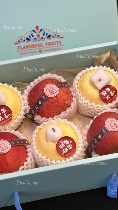 日本雙拼富士禮盒9