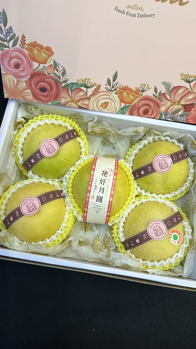 日本進口二十世紀梨【鳥取梨】10