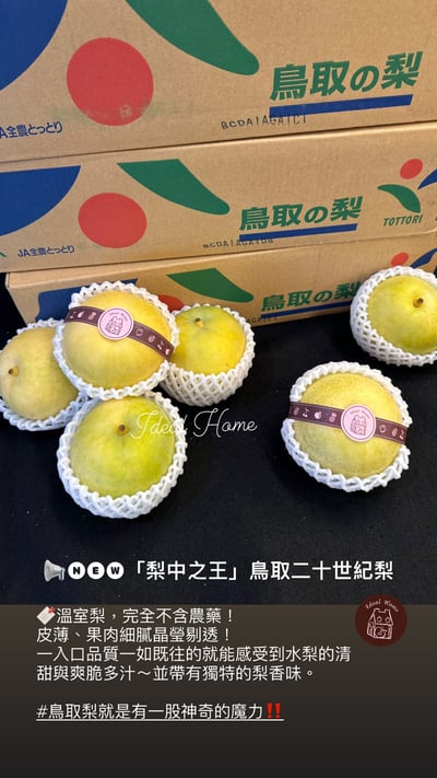 日本進口二十世紀梨【鳥取梨】7