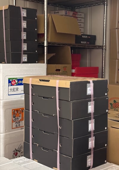 日本糖蜜菊池黑盒「預購排單出貨」11