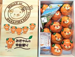 日本套袋(卡通)蜜柑4